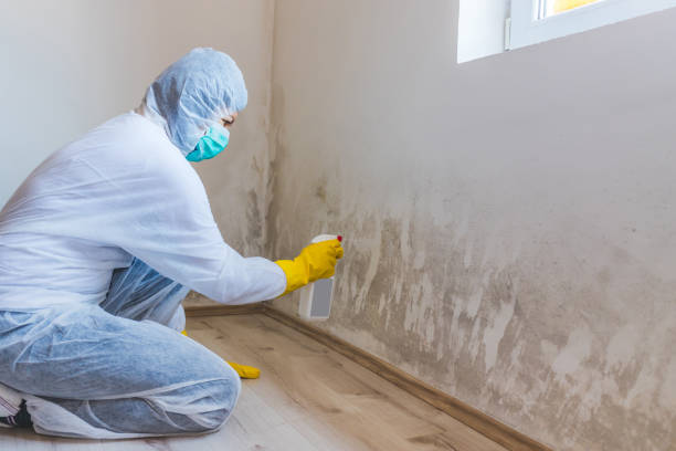 Licensed Commercial Mold Remediation service in Paradise Valley, AZ - WQB Mold Removal