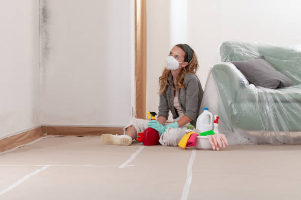Reliable Commercial Mold Remediation contractor in Paradise Valley, AZ by WQB Mold Removal
